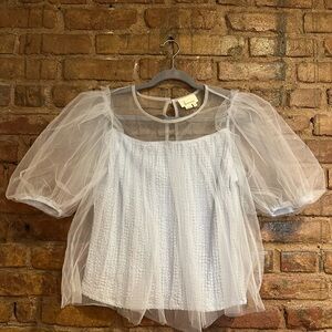 Anthropologie Sheer Light Blue Top with Puff Sleeves